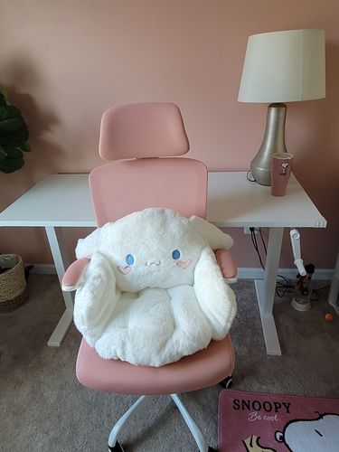 Customer photo review of Kawaii Style Seat Cushion Plushie