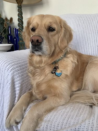 Customer photo review of Beach Silicone