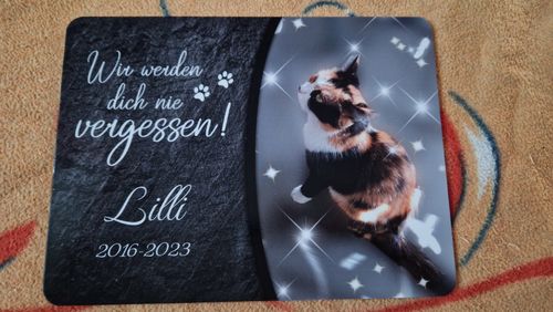 Customer photo review of Katzen Gedenktafel mit Foto & Spruch