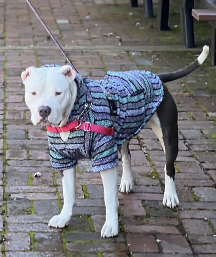 Customer photo review of Playa Poncho - Surprise Color