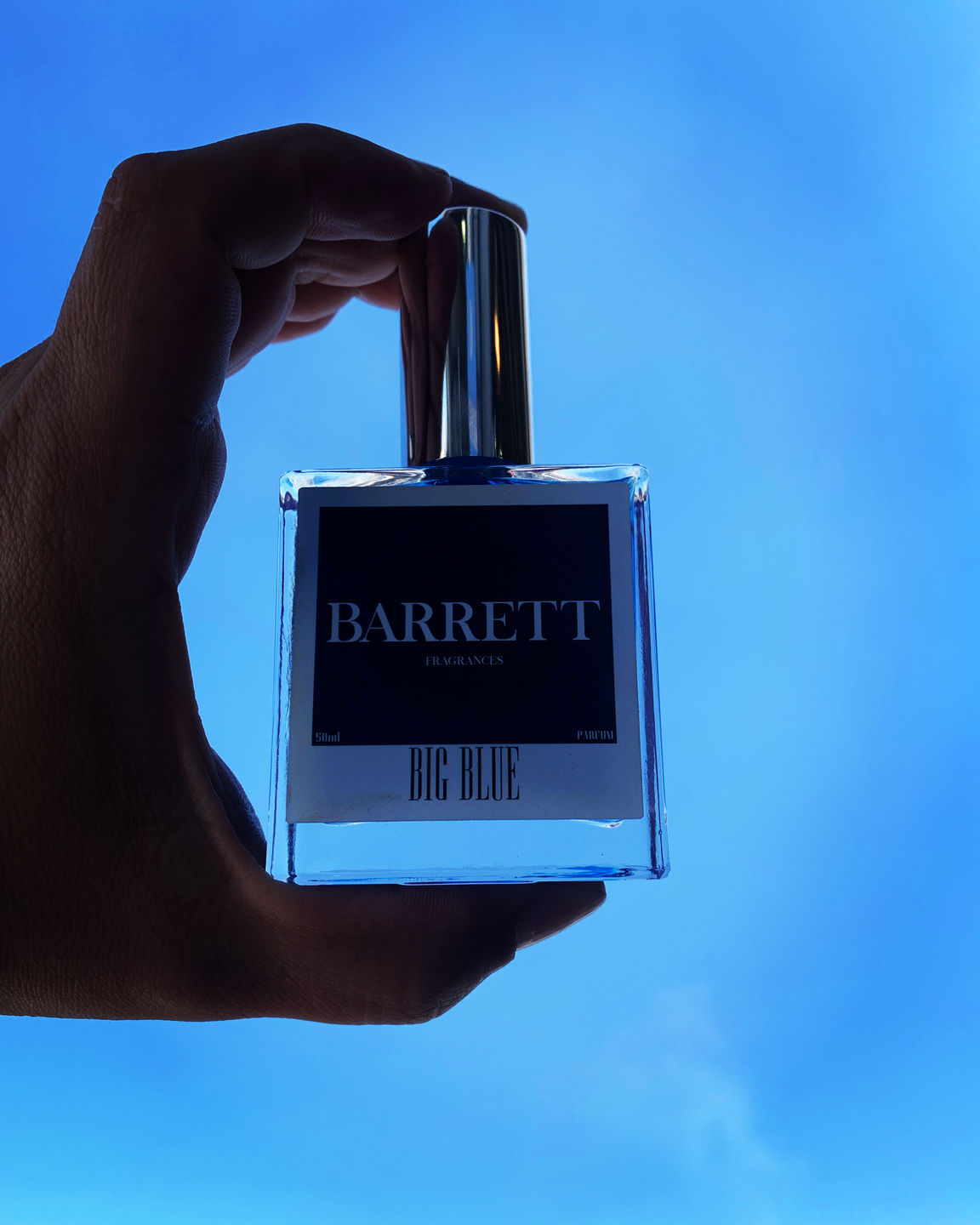 Customer photo review of Big Blue Inspired by BDC Parfum