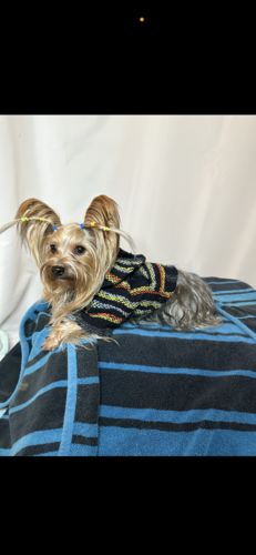 Customer photo review of Playa Poncho - Surprise Color