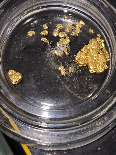 Customer photo review of 25 Lb. NUGGET RESERVE ELITE™ Gold Paydirt Unsearched