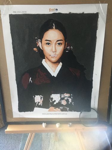 Customer photo review of Custom Paint By Numbers