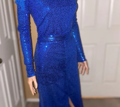 Customer photo review of Royal Blue Sequin on  Velvet