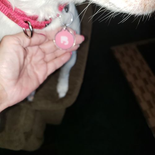 Customer photo review of Pink