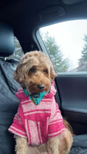 Customer photo review of Playa Poncho - Surprise Color