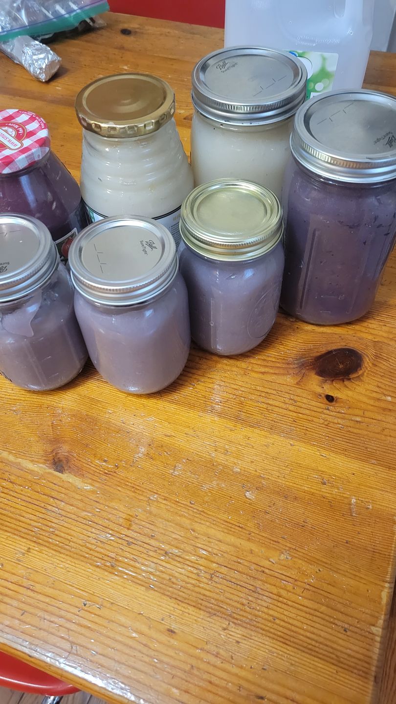 Customer photo review of Premium Full Spectrum Wildcrafted Raw Sun dried Sea Moss