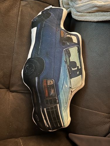 Customer photo review of Create A Custom Car Pillow