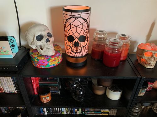 Customer photo review of Just Love Skulls Lamp