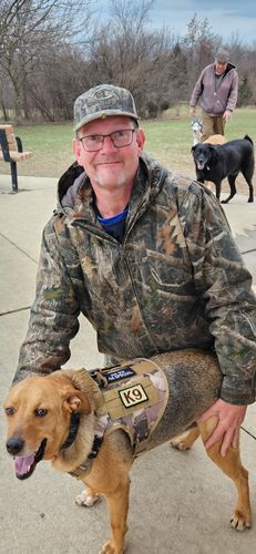 Customer photo review of Classic Heavy-Duty Tactical No-Pull Team K9™ Dog Harness With Front & Back D-Rings, Quick-Release Metal-Buckles, Hook & Loop Panels, & Top Handle