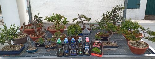 Customer photo review of ATOMIC BOMB PACK CB®