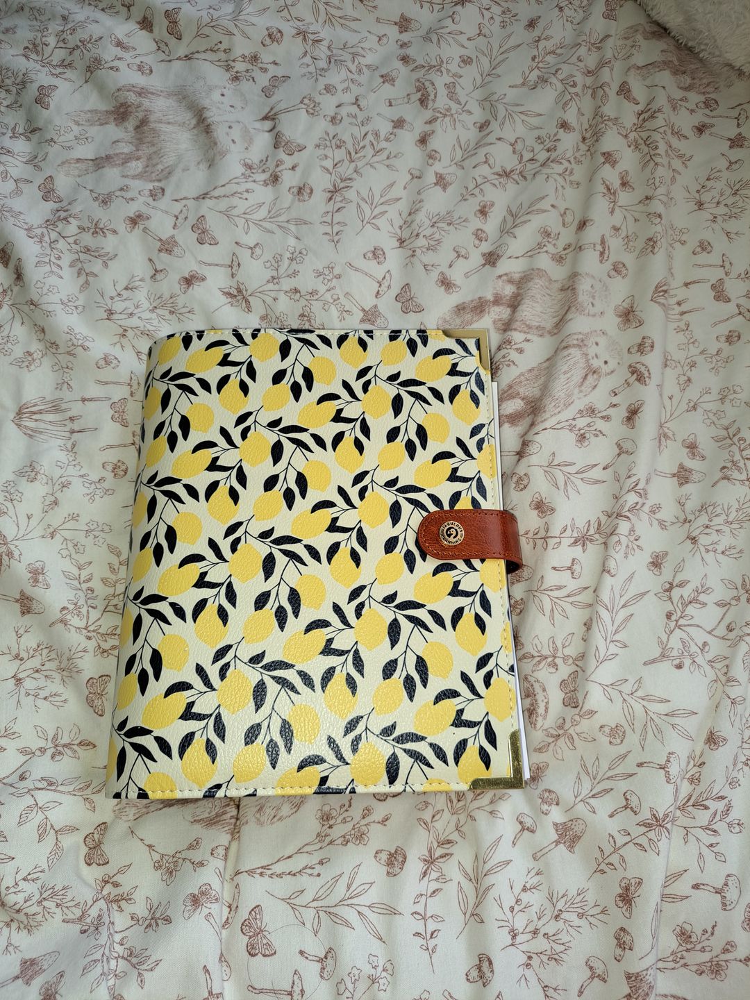 Customer photo review of Lemonade Organiser Shell - Seconds