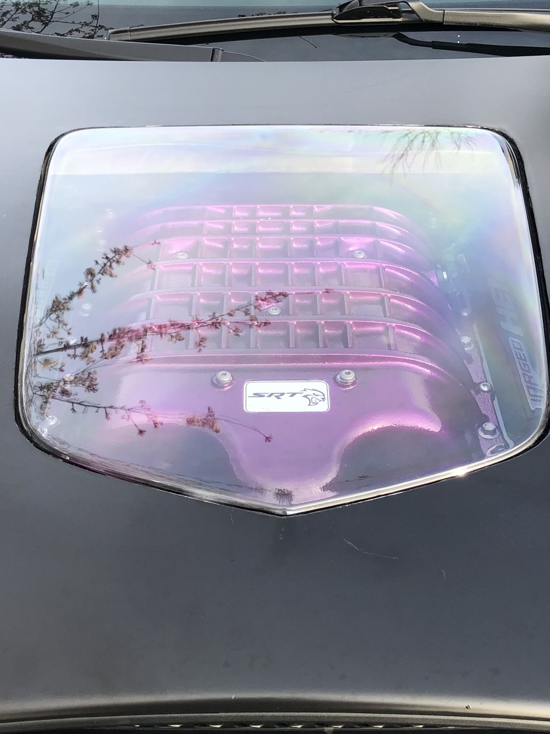Customer photo review of Corvette C6 Clear Heat Extractor Hood Insert | ZR1 Conversion Package