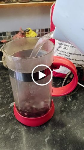 Customer video review of Rosa Jamaica / Hibisco