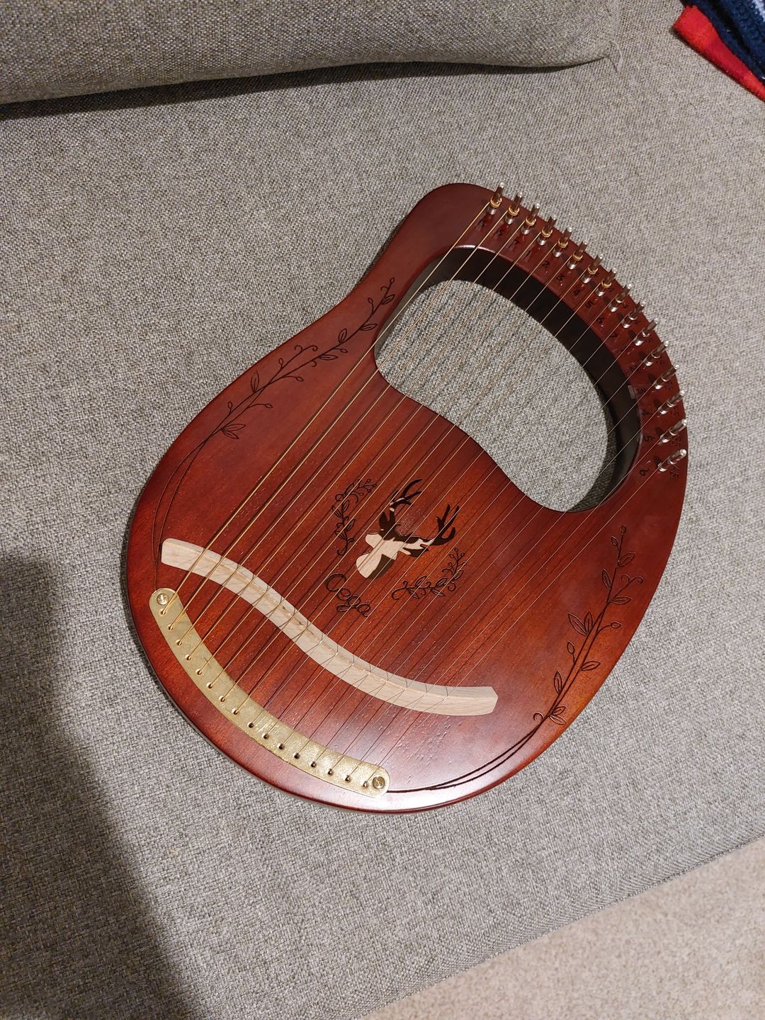 Customer photo review of Lyre Harp 16 String CEGA Reindeer Mahogany w/Bag - Multiple Colors
