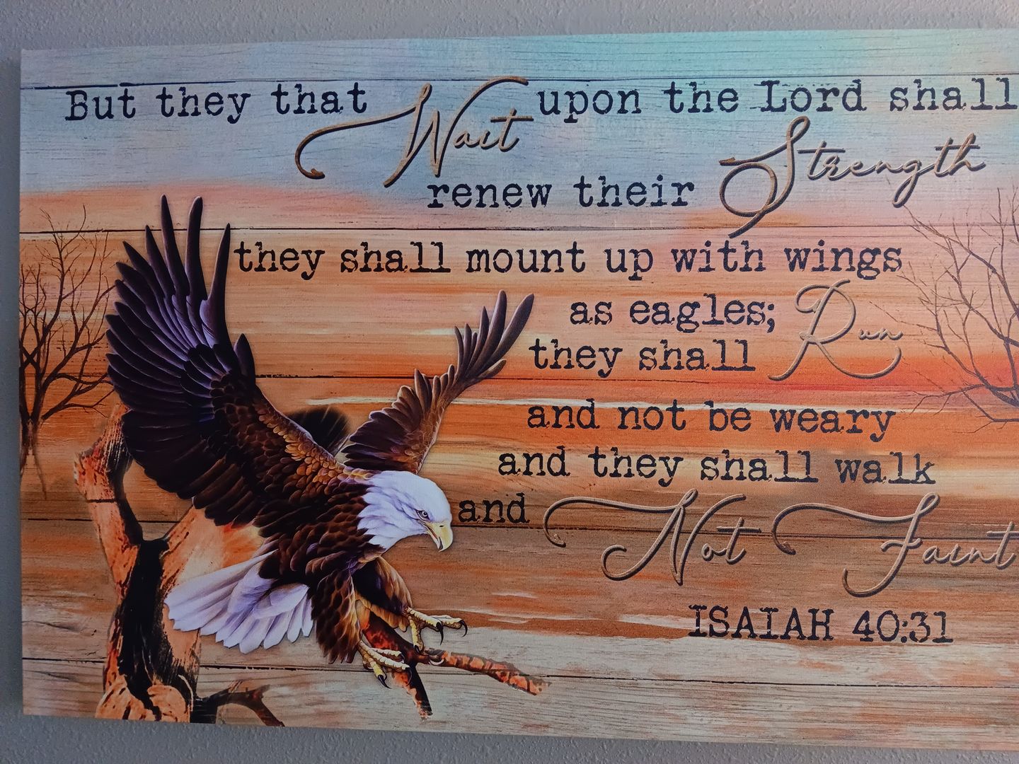 Customer photo review of Eagle Wingspan, They that wait upon the Lord Isaiah 40:31 Christian wall art canvas print