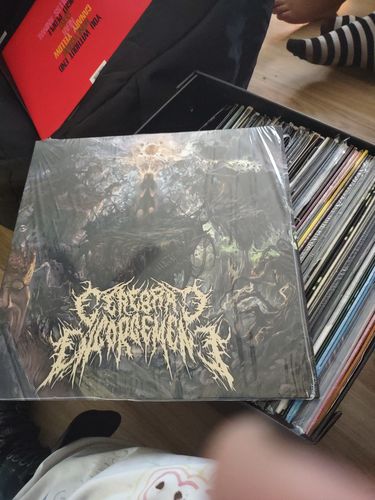 Customer photo review of Cerebral Engorgement - Cerebral Chronicles (Translucent Purple Vinyl)