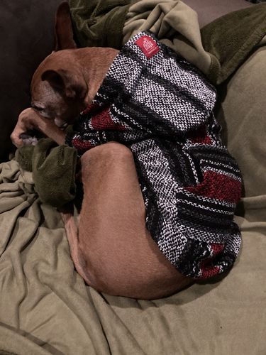 Customer photo review of Playa Poncho - Surprise Color