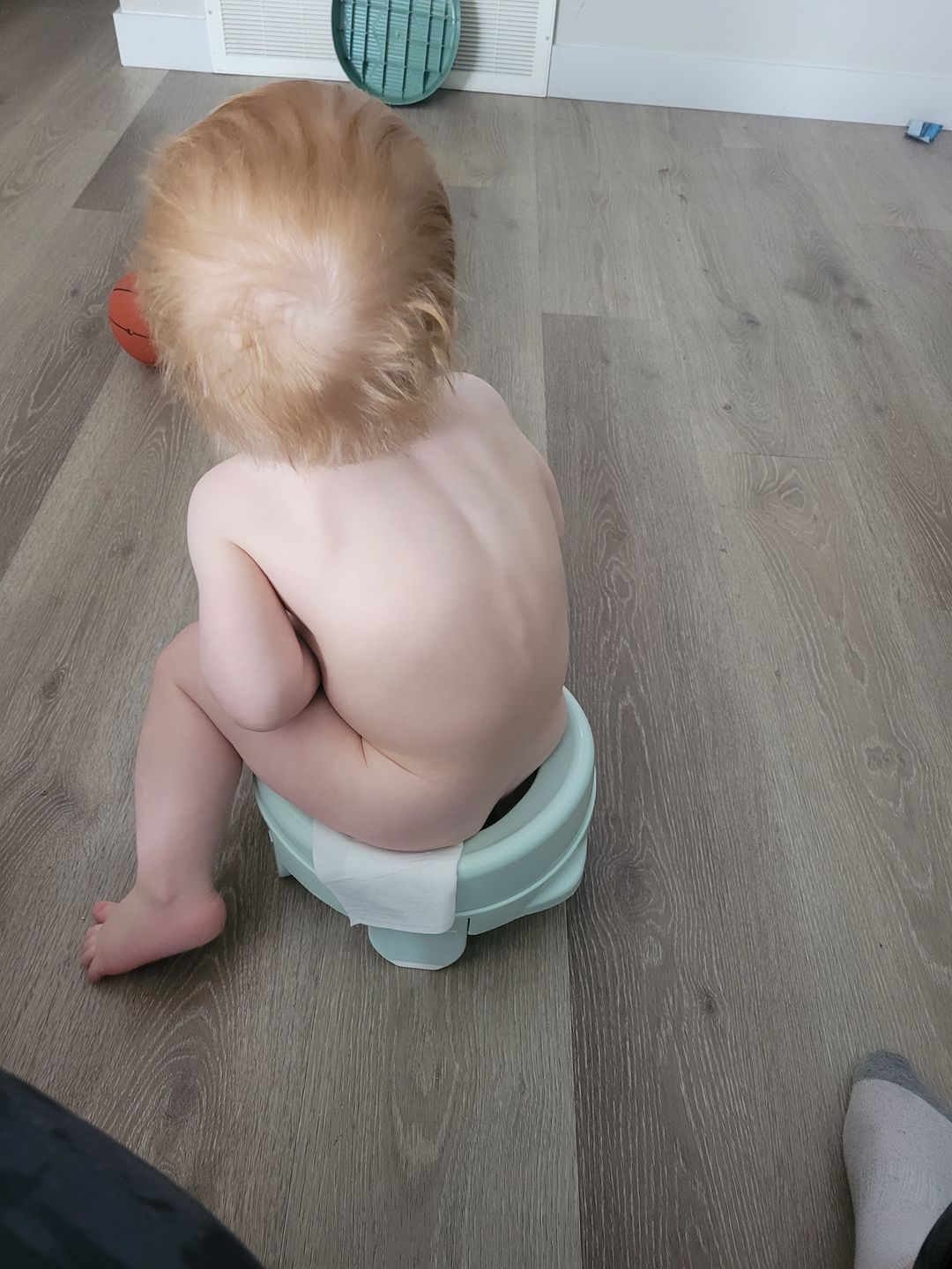 Customer photo review of Complete Potty Guide