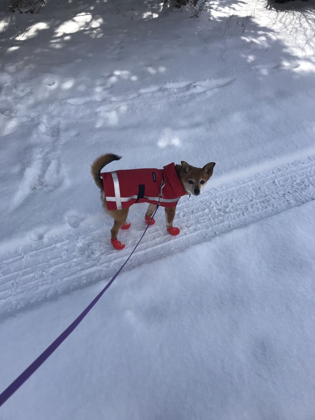Customer photo review of Reflective All-Weather Raincoat (Wax Coat)