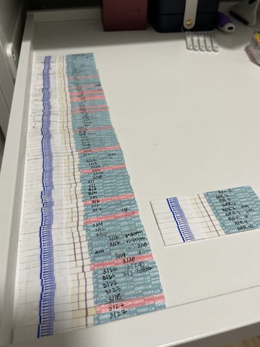 Customer photo review of Ovulation Test Strips