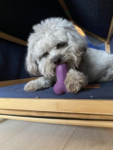 Customer photo review of Freezbone