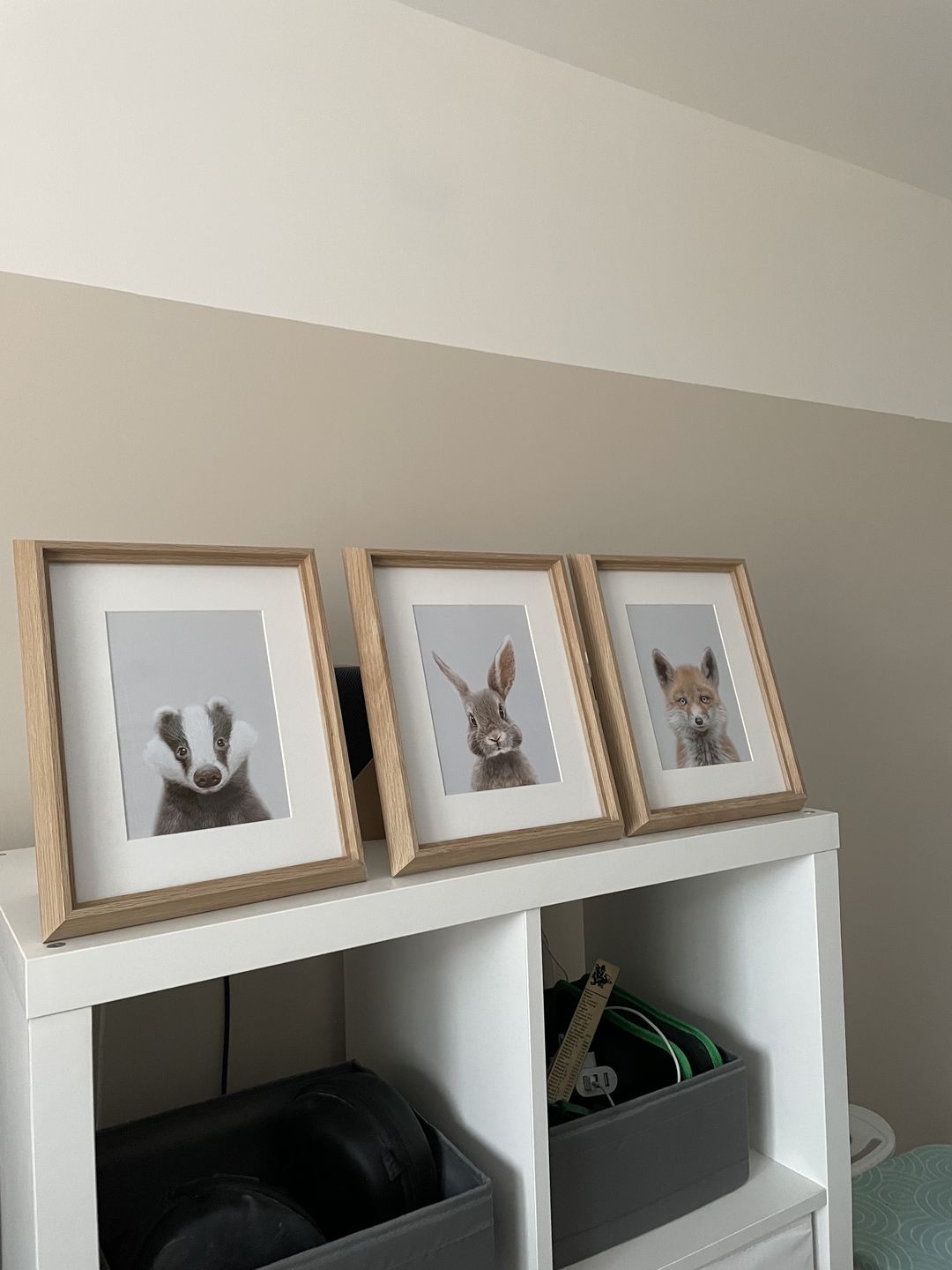 Customer photo review of Fox Art Print