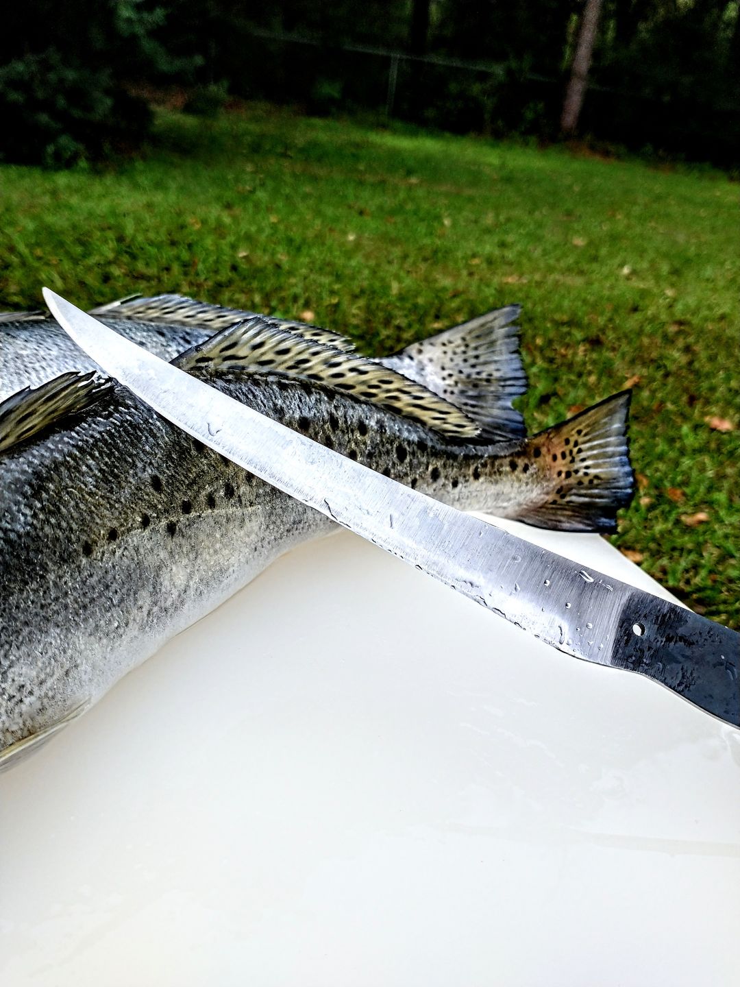 Customer photo review of 2" x 72" Sanding Belts for Finishing & Sharpening