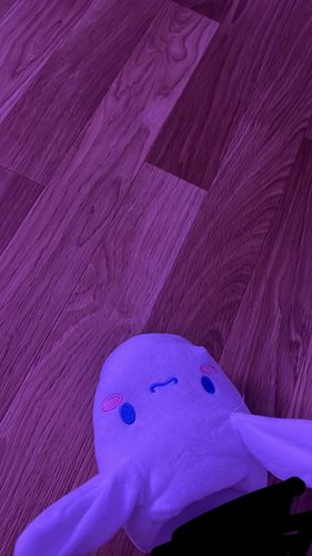 Customer photo review of Cinna Slippers™