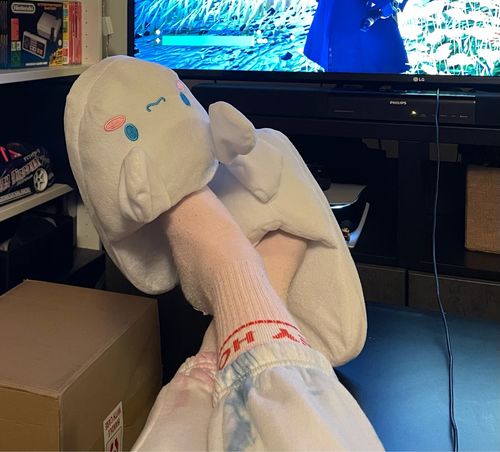 Customer photo review of Cinna Slippers™