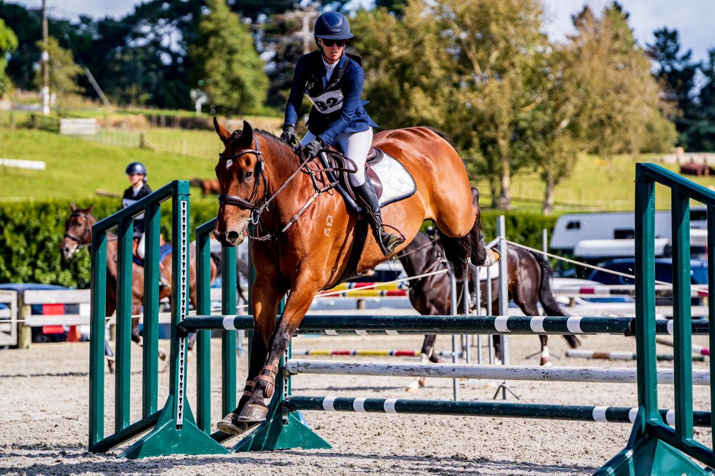 Customer photo review of PSOS Bridle Flying Change