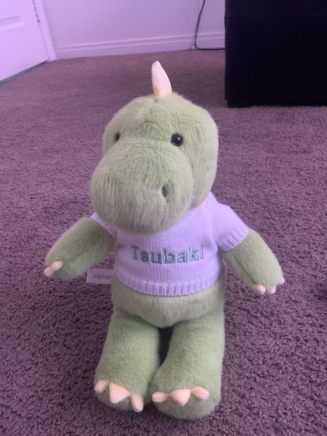 Customer photo review of Eddy the Dino
