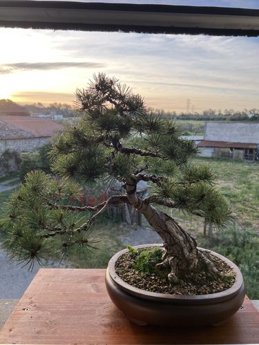 Customer photo review of PROTOCOLLO NUCLEARE CB®