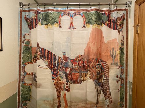 Customer photo review of Fringe Shower Curtain - Haute Horse