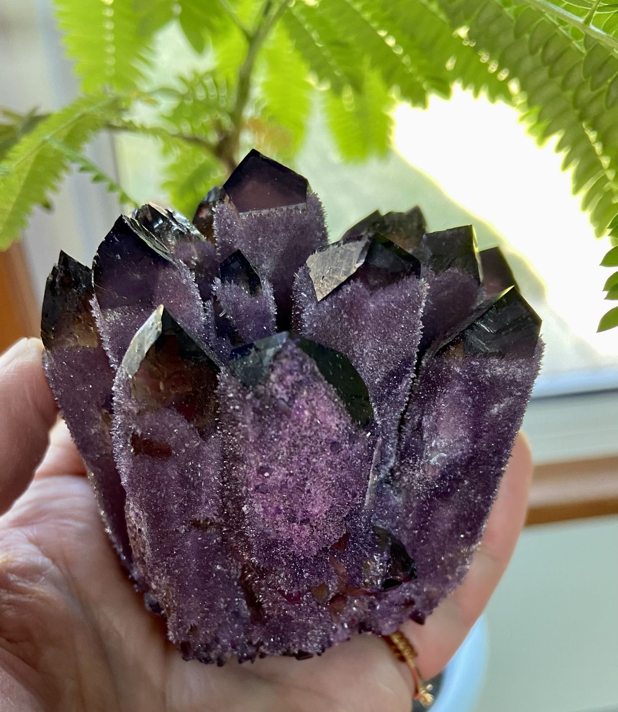 Customer photo review of Exotic Amethyst Phantom Cluster