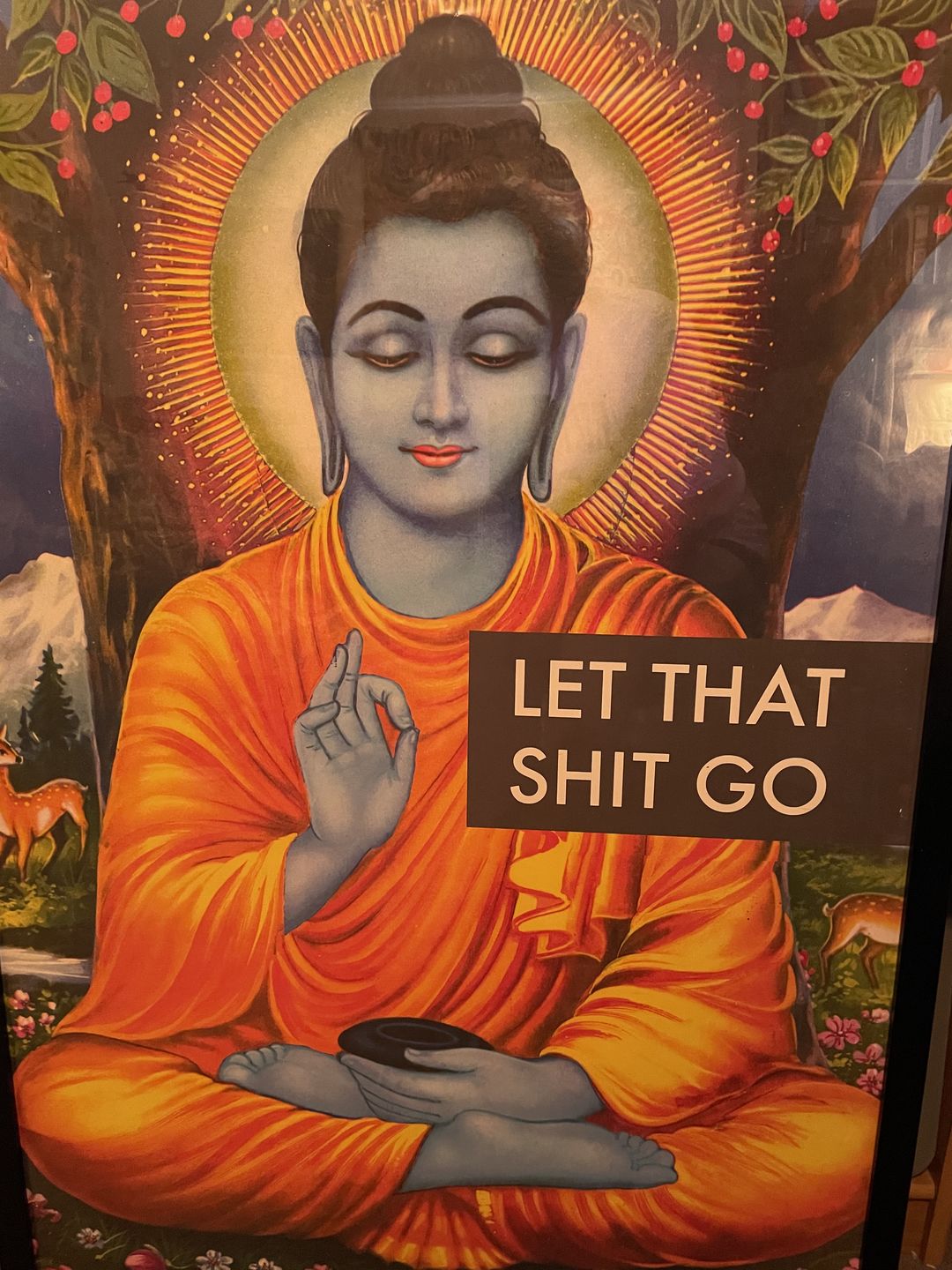 Customer photo review of Let That Shit Go Buddha Poster