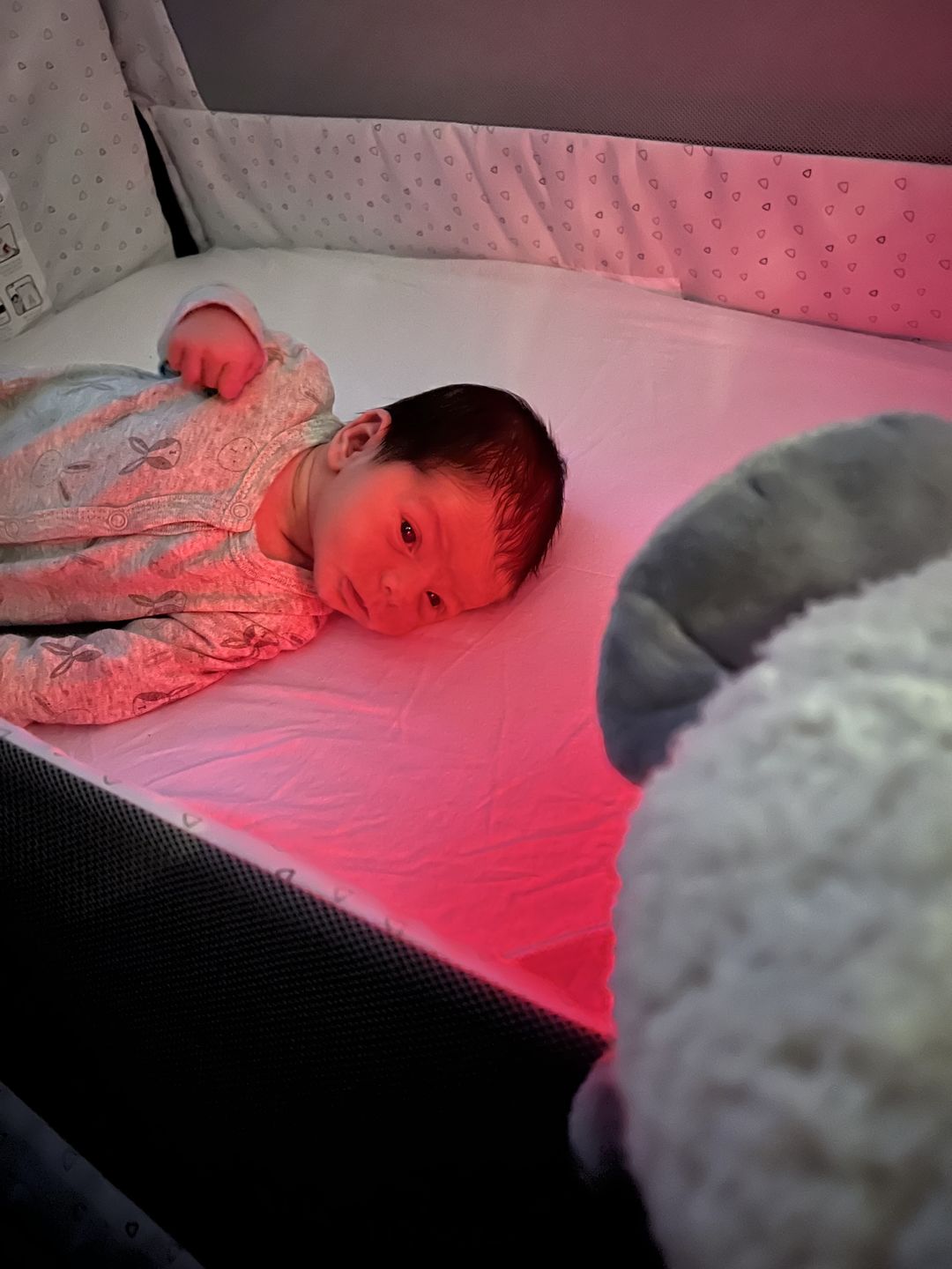 Customer photo review of ewan Deluxe | baby shushing sleep sheep | gray