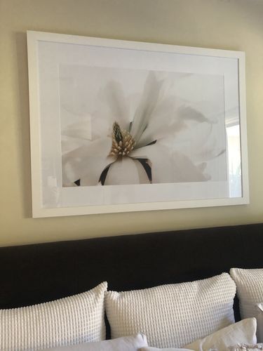 Customer photo review of Grace Magnolia Art Print
