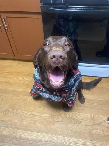 Customer photo review of Playa Poncho - Surprise Color