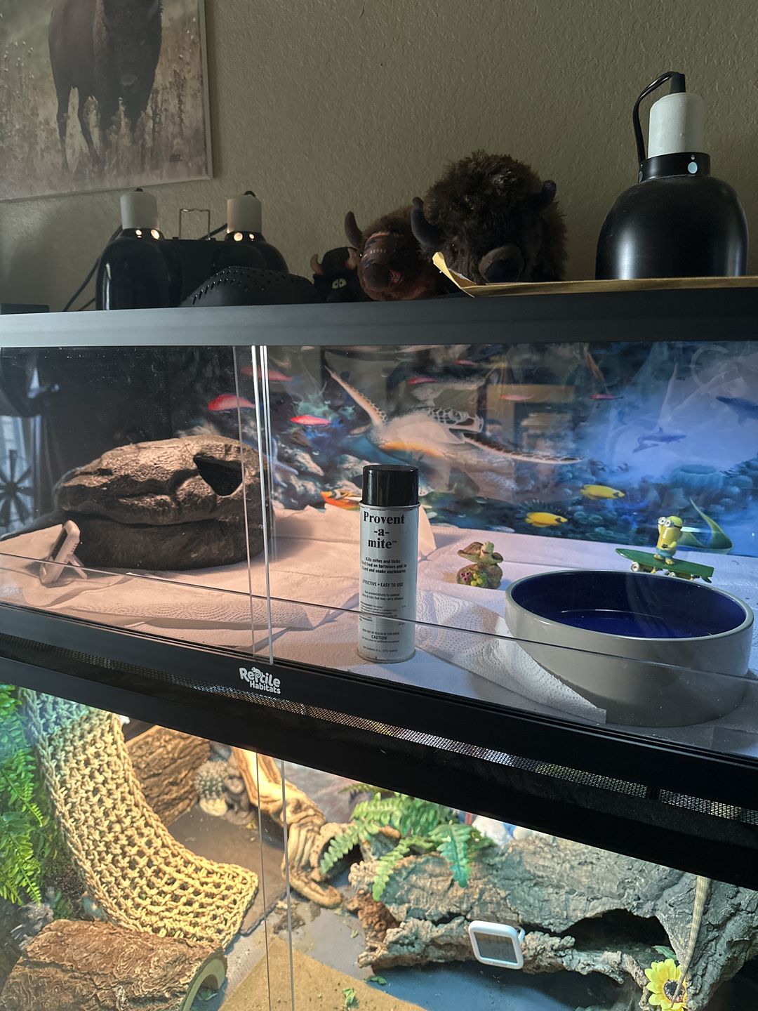Customer photo review of Provent-a-Mite for Tortoise, Snake, and Lizard Cage (6 oz)