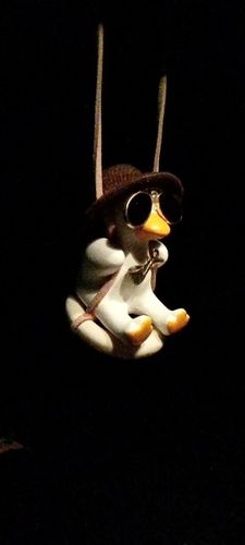 Customer photo review of Chic Duck Swing Ornament