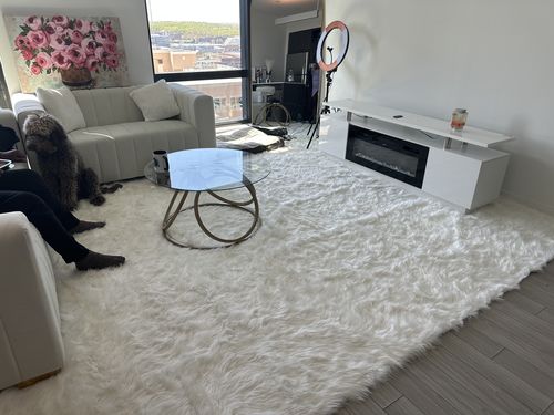 Customer photo review of Eco-Friendly Extra Large FAUX SheepSkin Area Rug