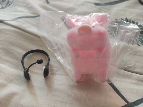 Customer photo review of Inspector Hamlet Swing Ornament