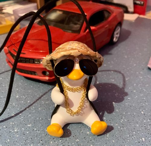 Customer photo review of Chic Duck Swing Ornament