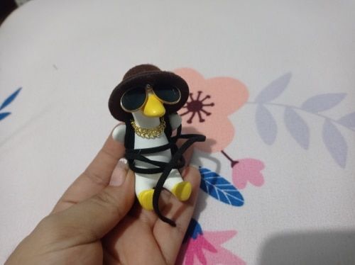 Customer photo review of Chic Duck Swing Ornament