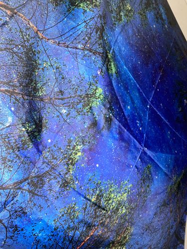 Customer photo review of Forest Starry Tapestry