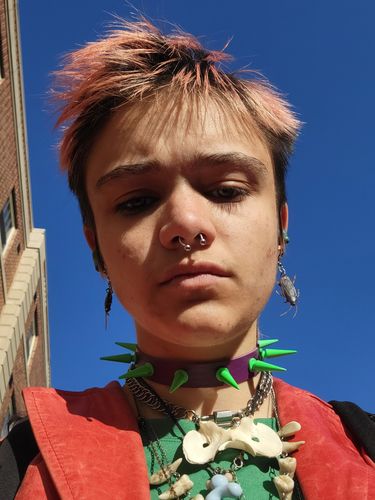 Customer photo review of Lil Spike Choker