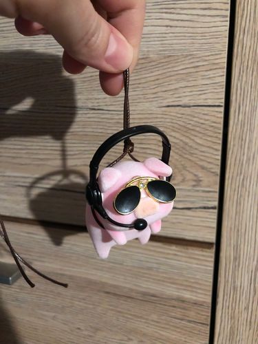 Customer photo review of Inspector Hamlet Swing Ornament
