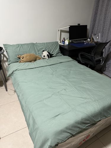 Customer photo review of Plain Spruce